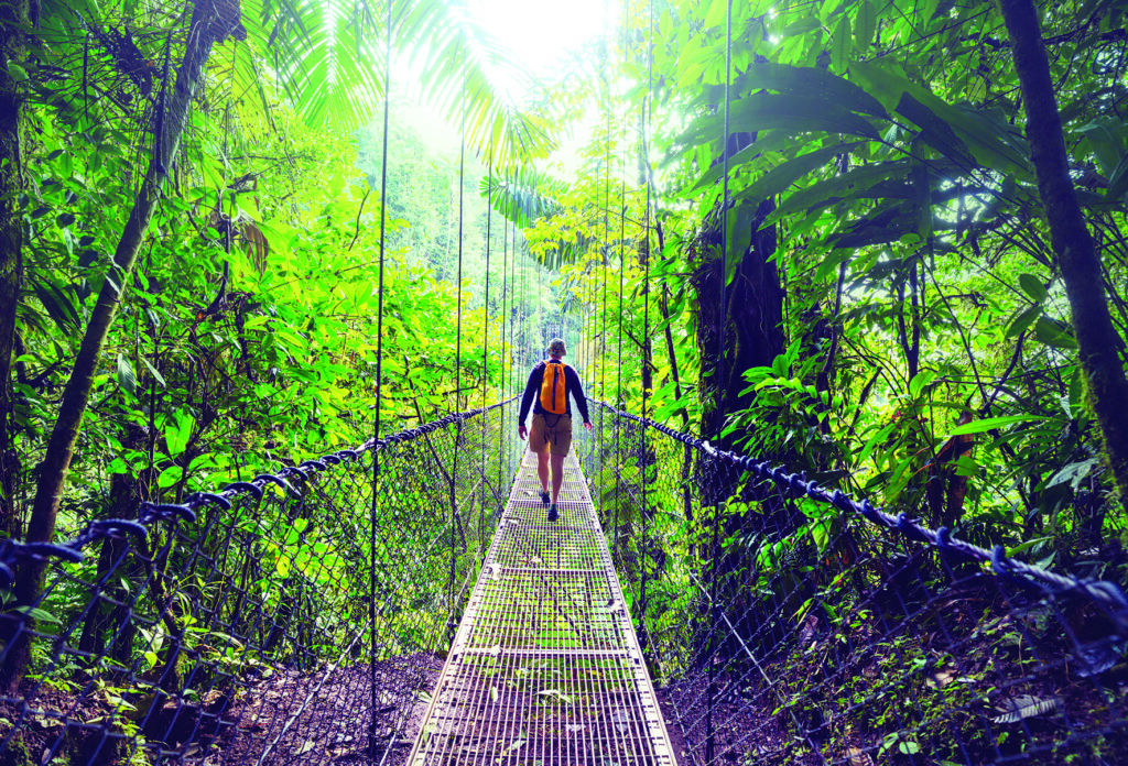 Arenal Hanging Bridges