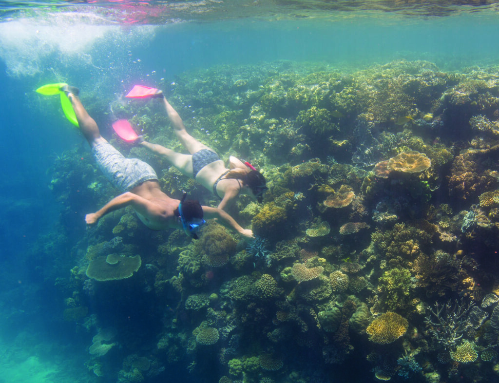 Snorkeling